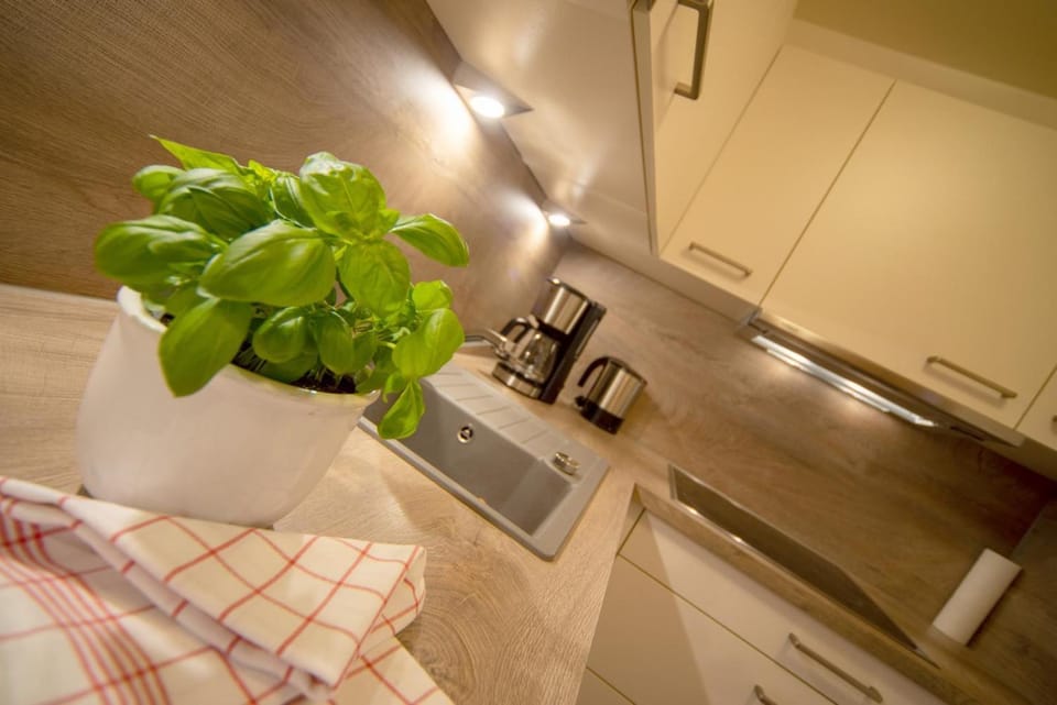 Coffee/tea facilities, Kitchen or kitchenette, stove