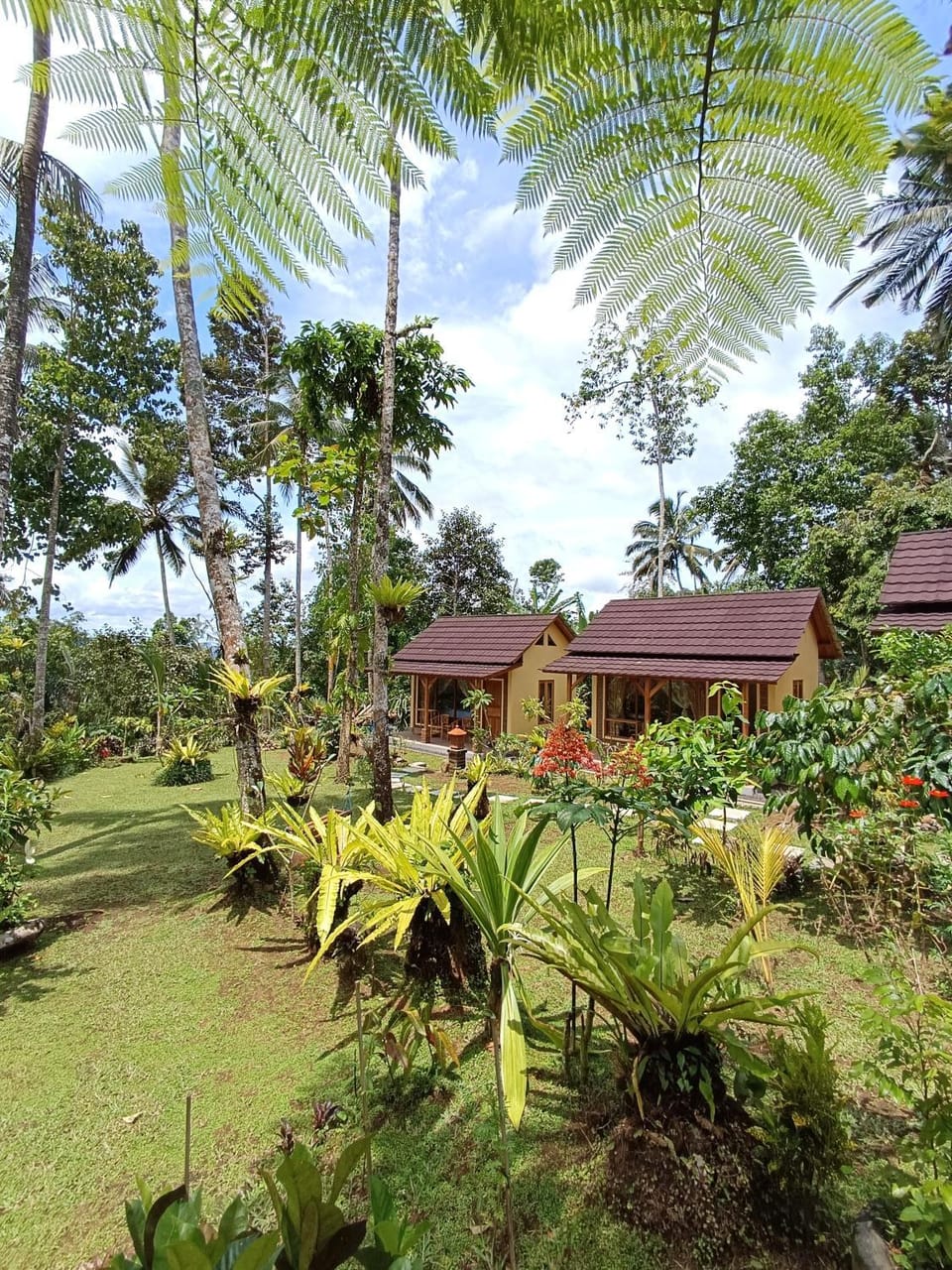 Property building, Natural landscape, Garden, Garden view