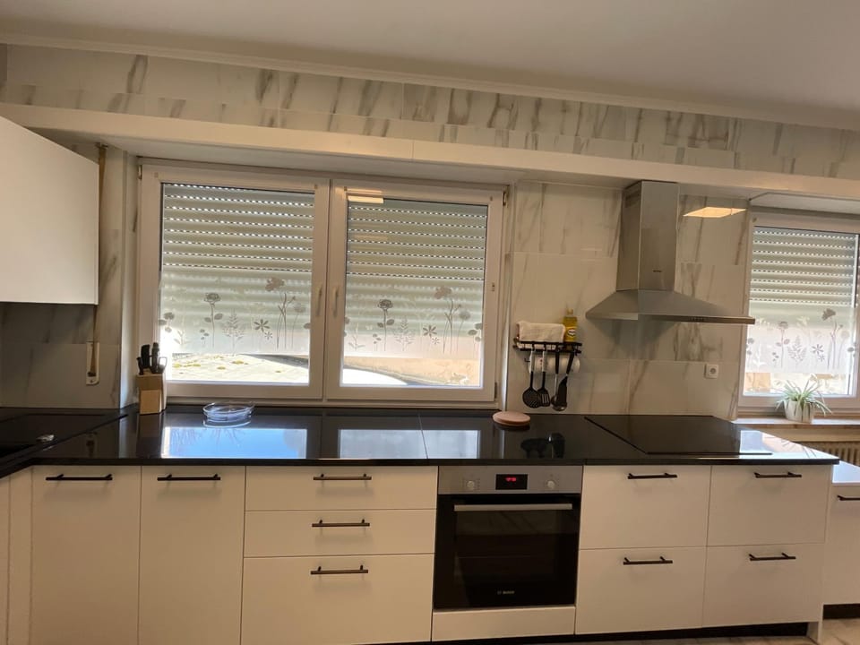 Kitchen or kitchenette, dishwasher, stove