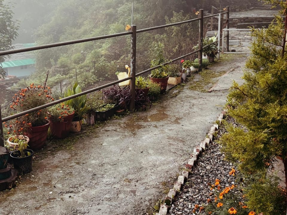Sunlight Homestay Mohana Vacation rental in Uttarakhand