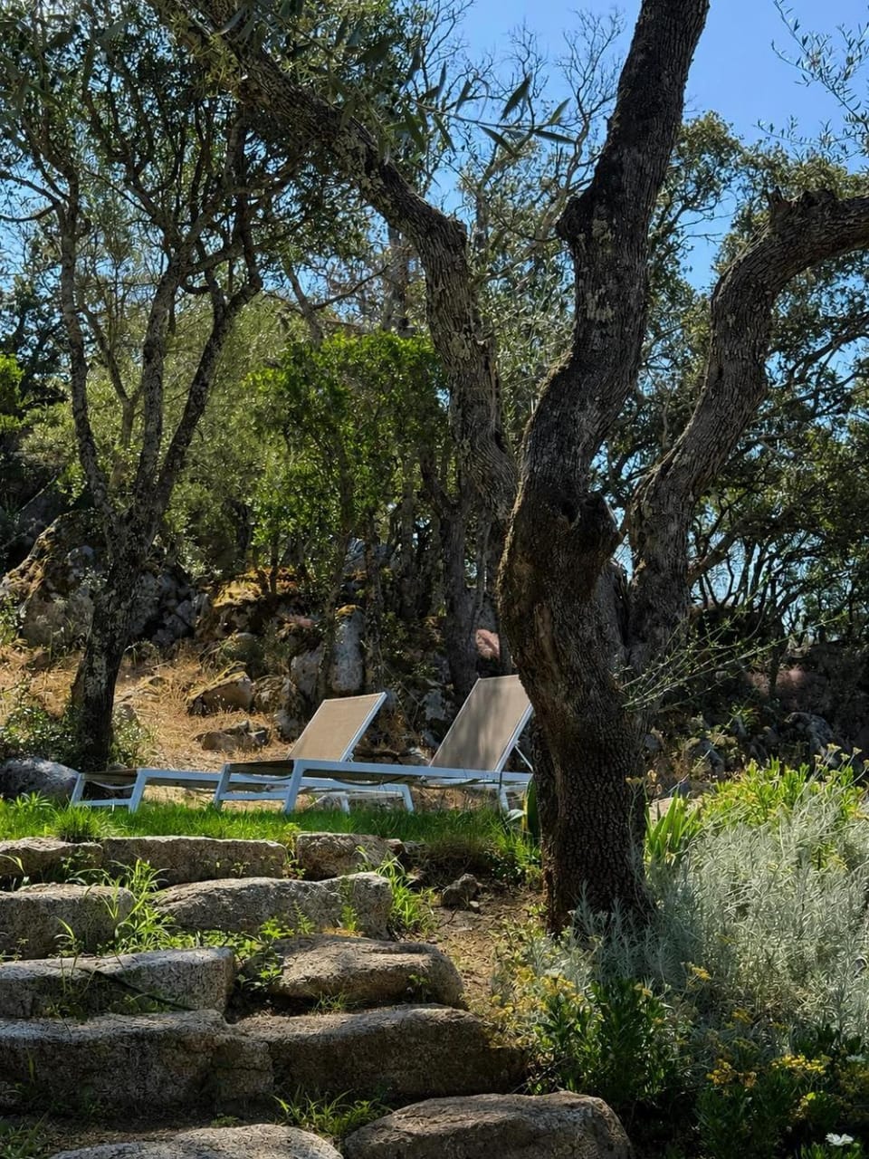Natural landscape, Garden view, sunbed