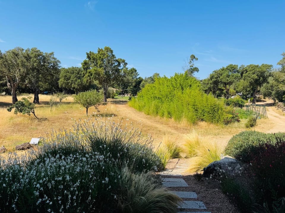 Natural landscape, Garden