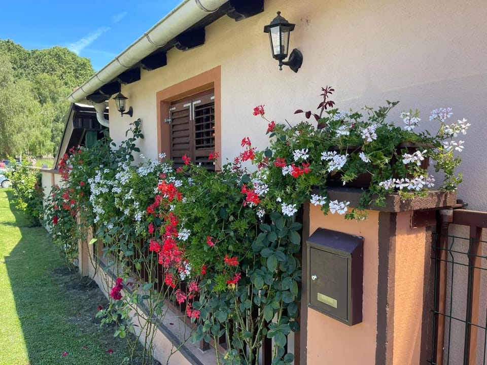 Sobe Obitelji Glavaš Apartment in Croatia