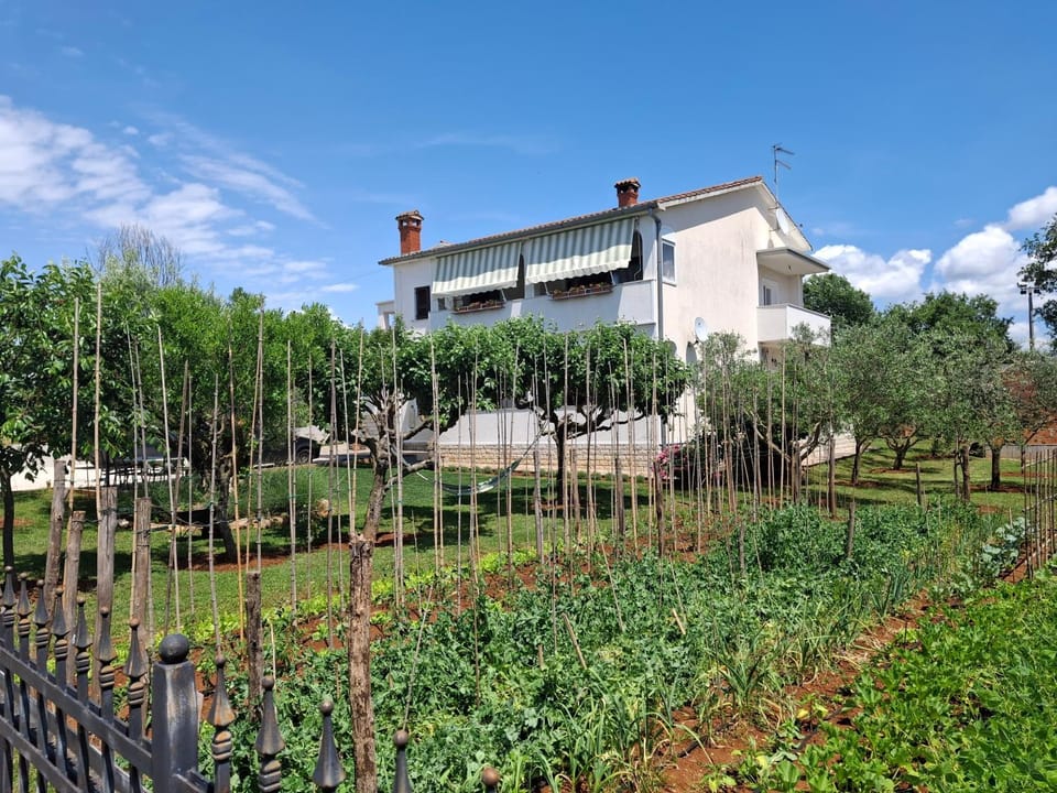 Property building, Garden view