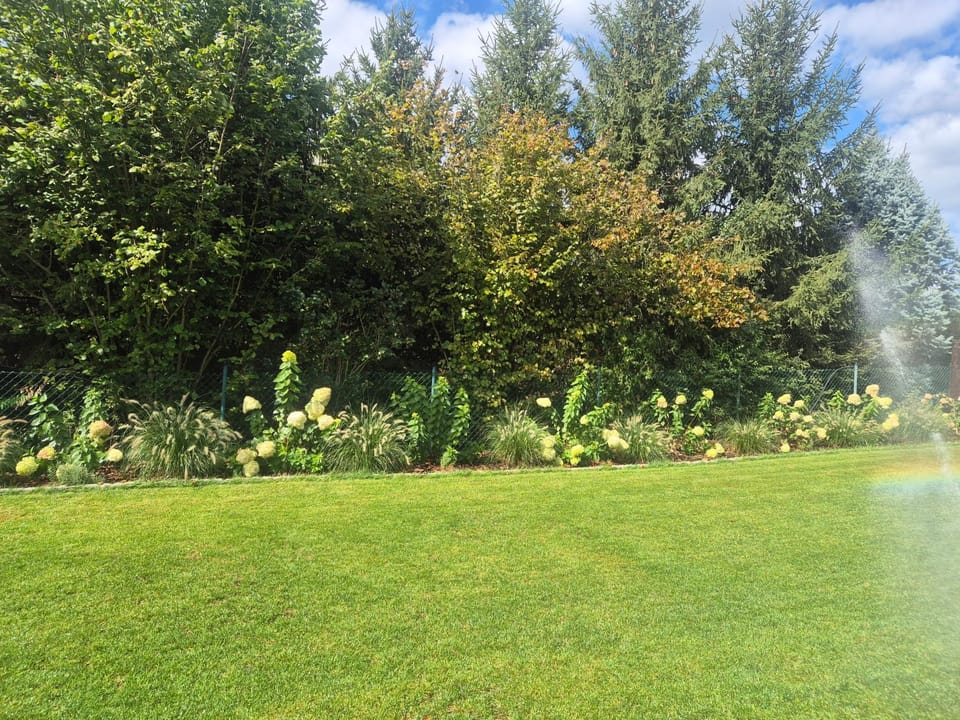 Garden view