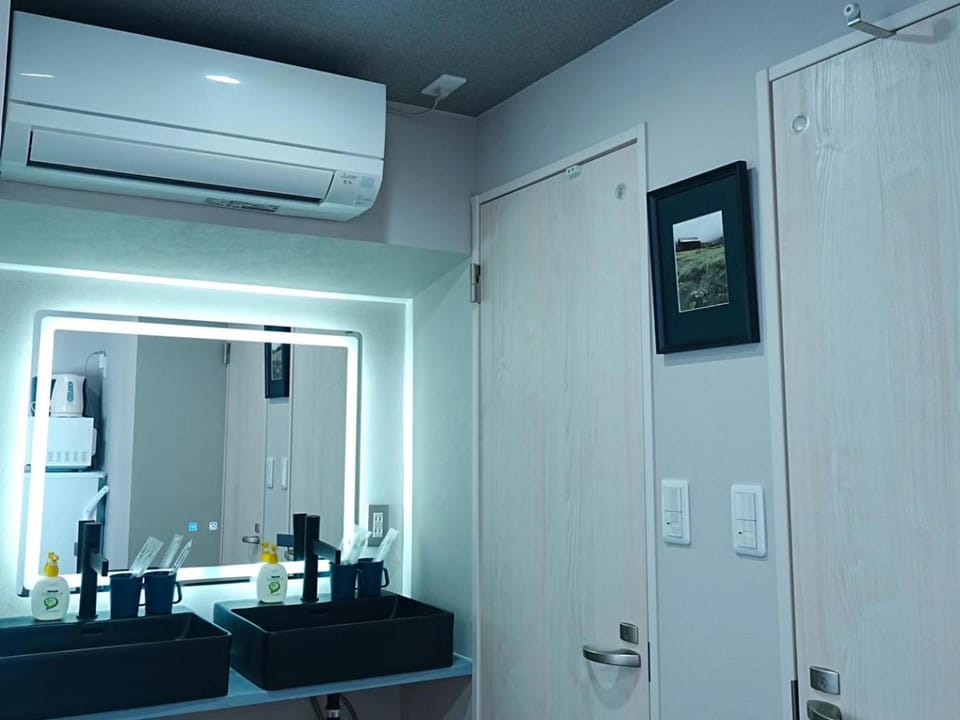 Bathroom, air conditioner