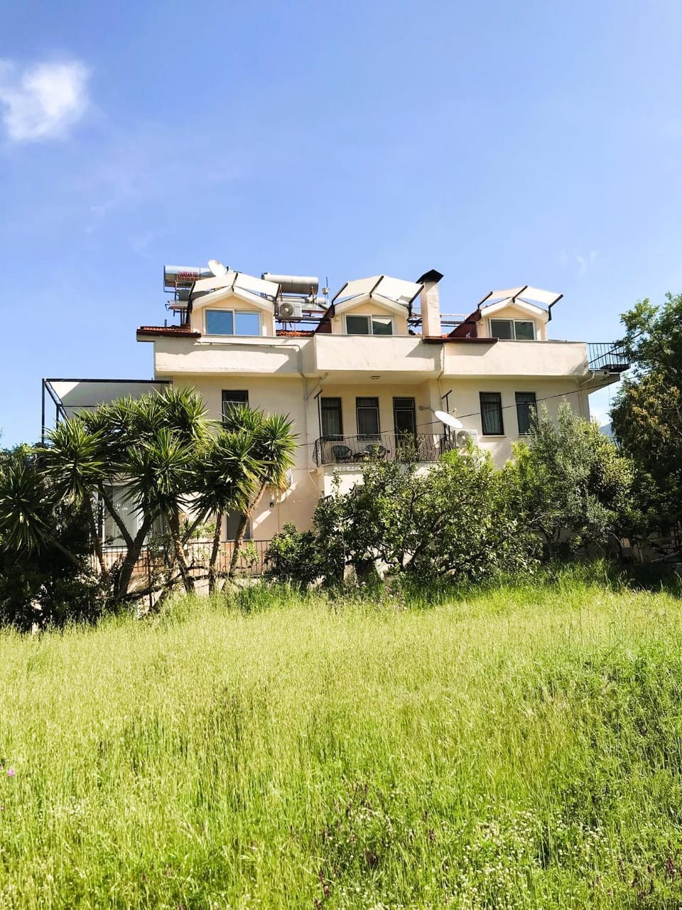 Property building, Natural landscape