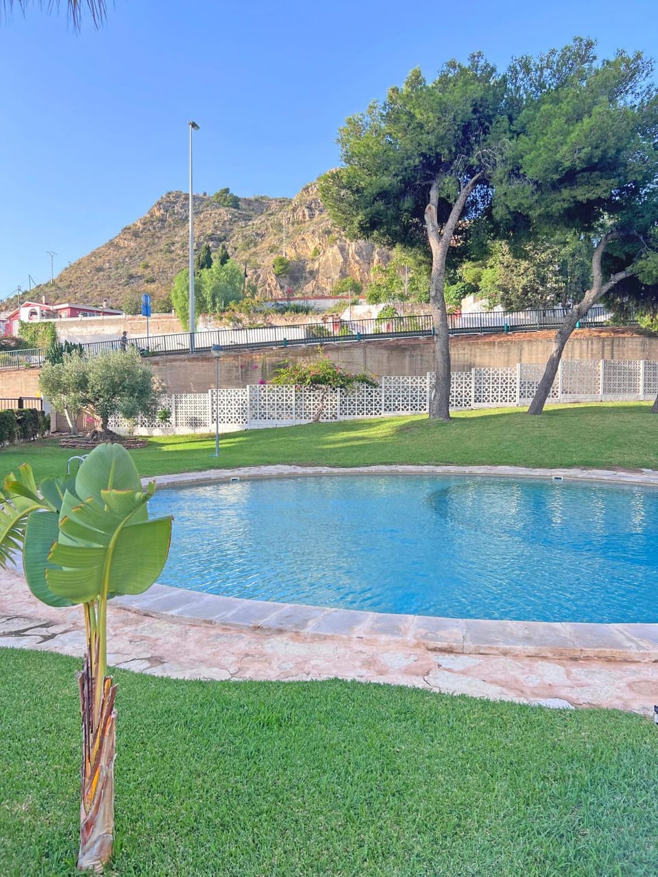 Natural landscape, Garden, Garden view, Swimming pool
