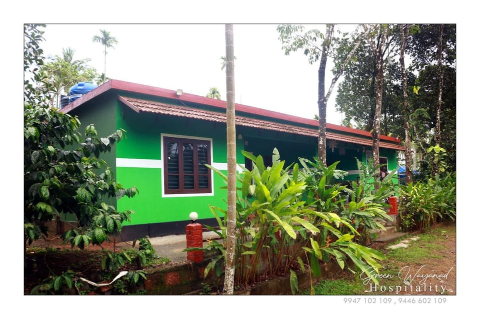 Green wayanad homestay Villa in Kerala