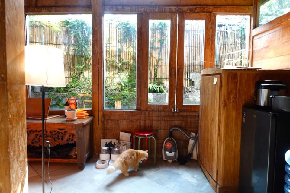 Spacious Family Home & Office Canggu, stay with cats House in North Kuta