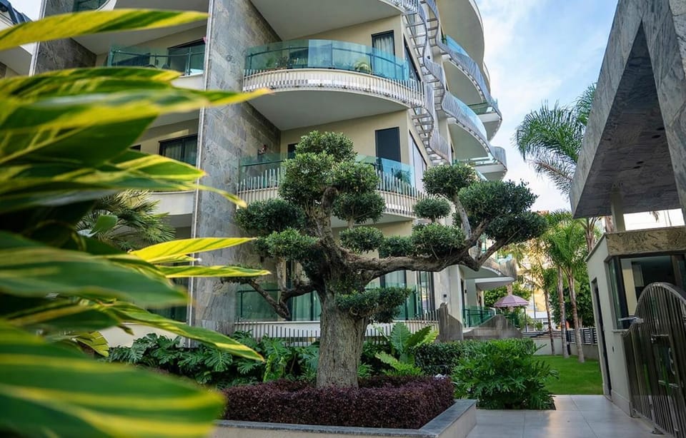 Property building, Garden