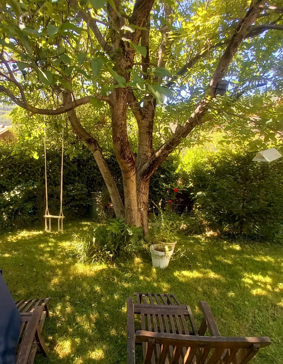 Children play ground, Garden, Garden view