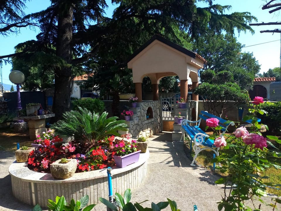 Day, Garden, Garden view