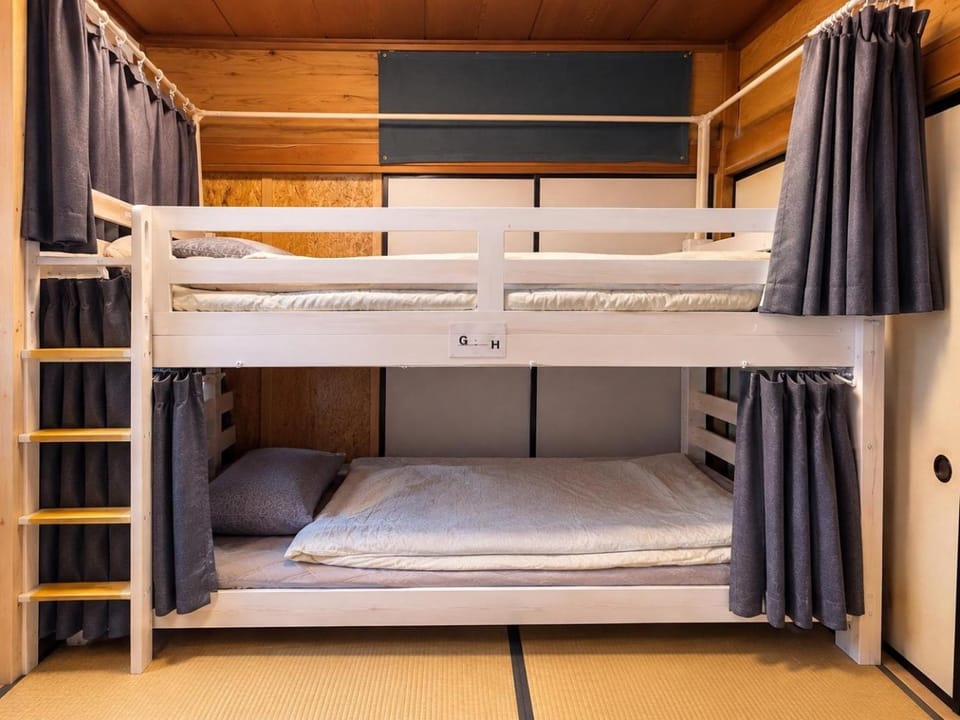 Bed, Photo of the whole room, Bedroom, bunk bed