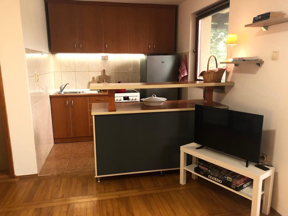 Kitchen or kitchenette, minibar, oven