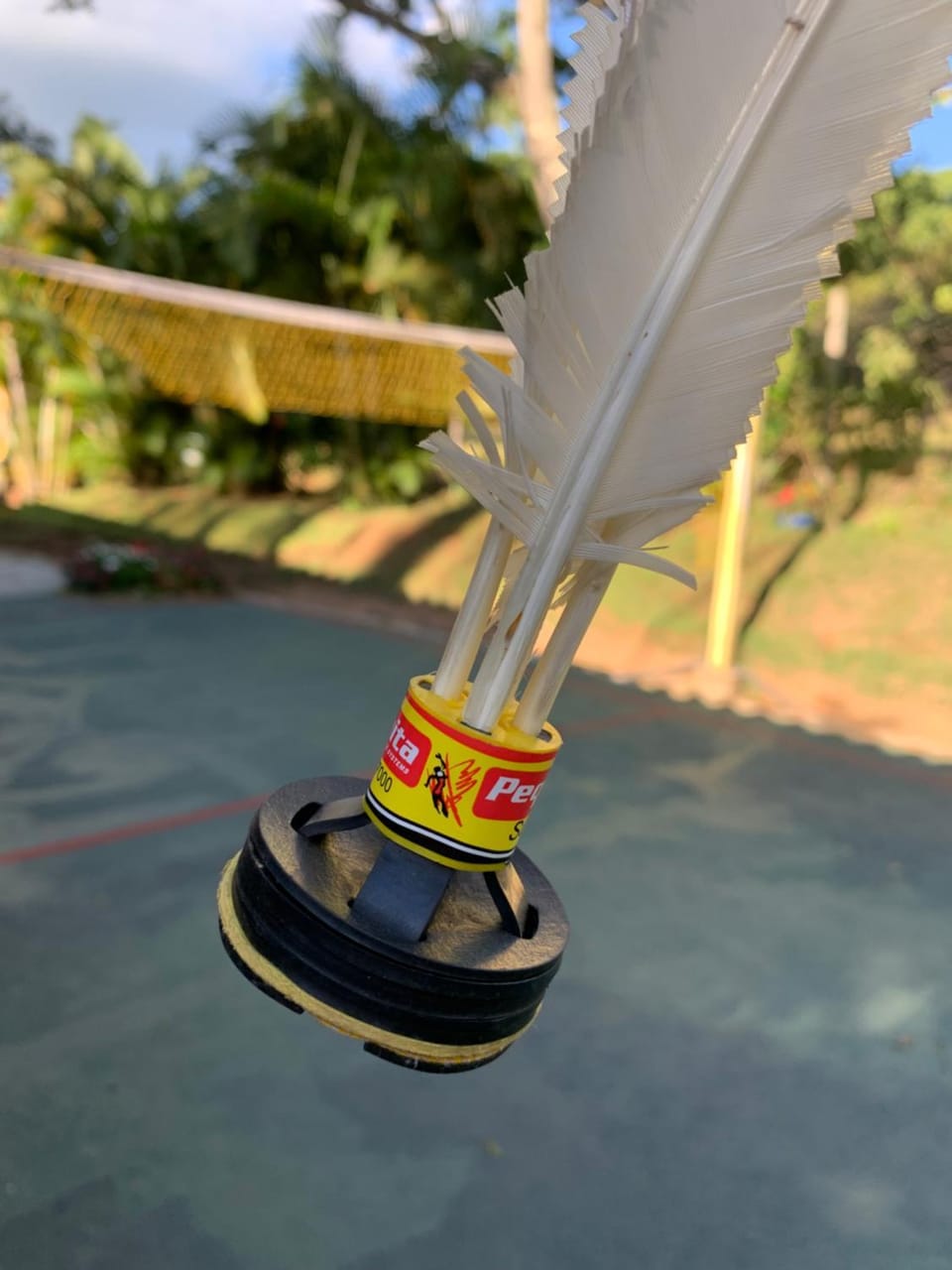 Children play ground