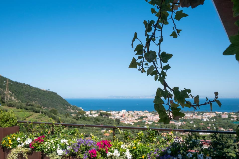 City view, Sea view