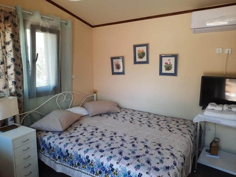 Bed, TV and multimedia, Photo of the whole room, Bedroom