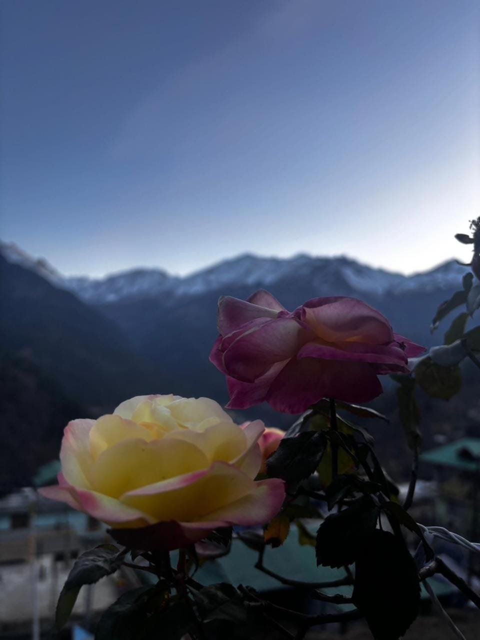 sanoview Hotel in Himachal Pradesh