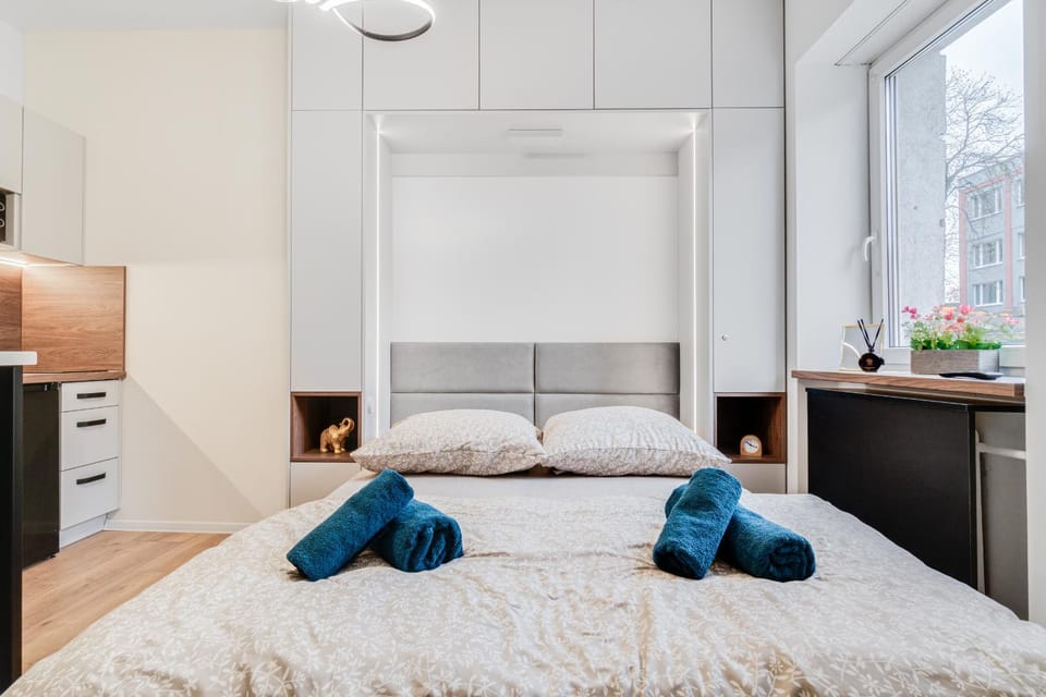 Bed, Kitchen or kitchenette, Photo of the whole room, wardrobe