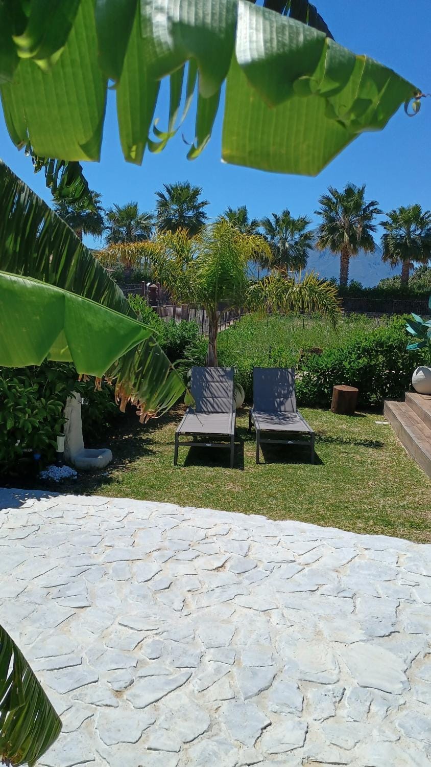 Garden view