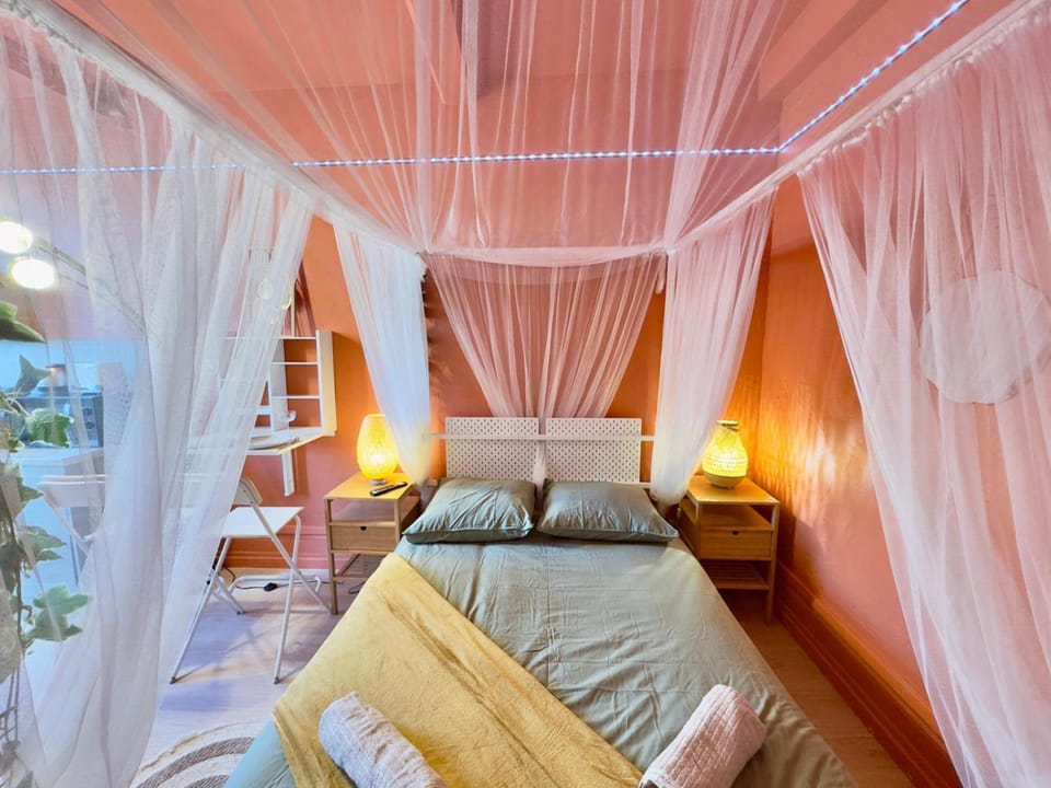 Studio Bali Hyper centre Lit Baldaquin Apartment in Arras