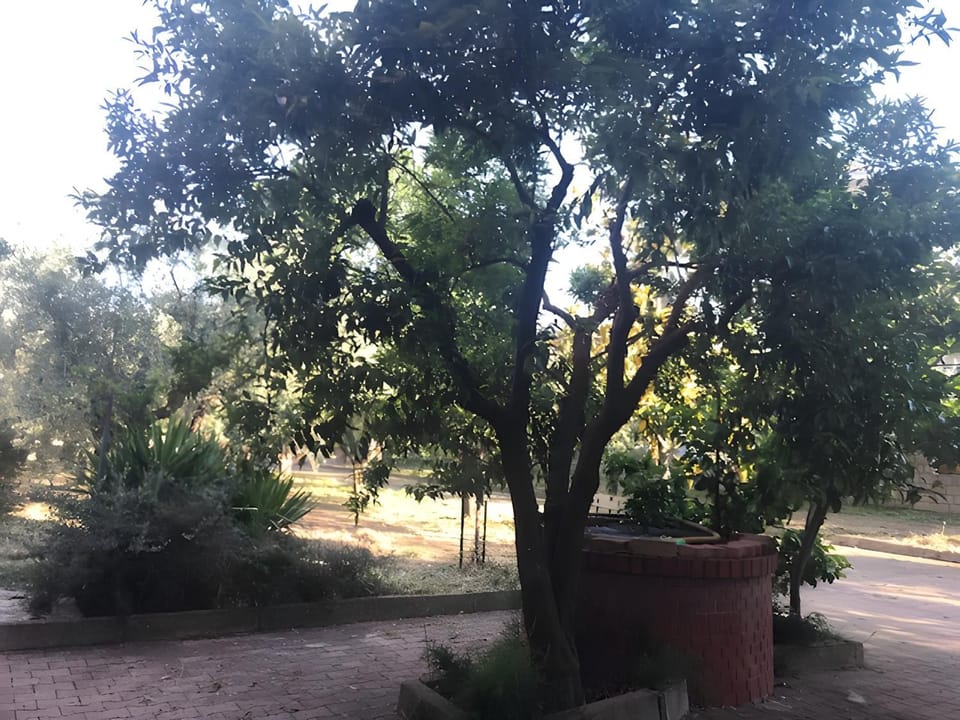 Inner courtyard view