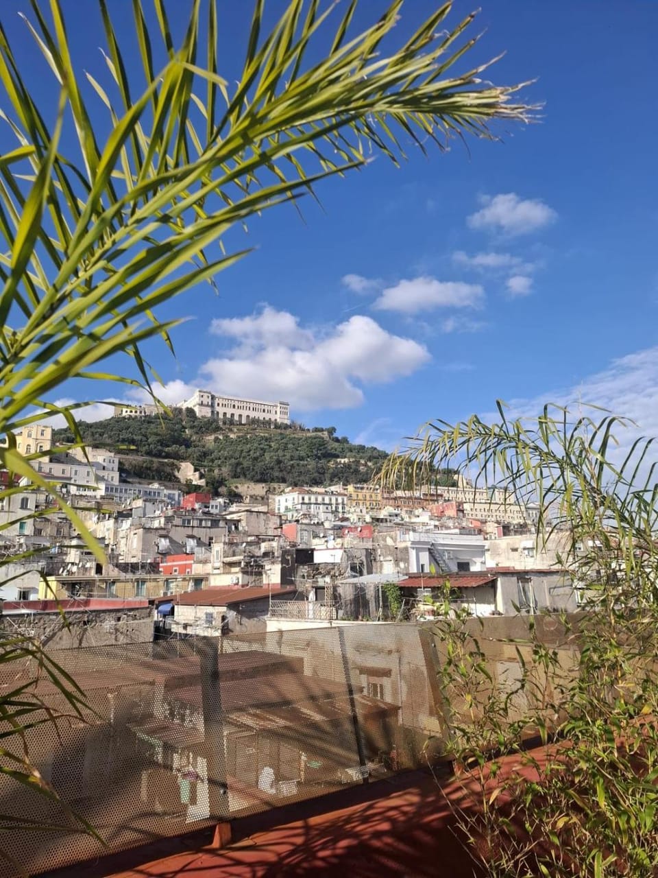 View (from property/room)