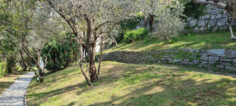 Villa gli Ulivi Chalten Apartment Apartment in Province of Lecco
