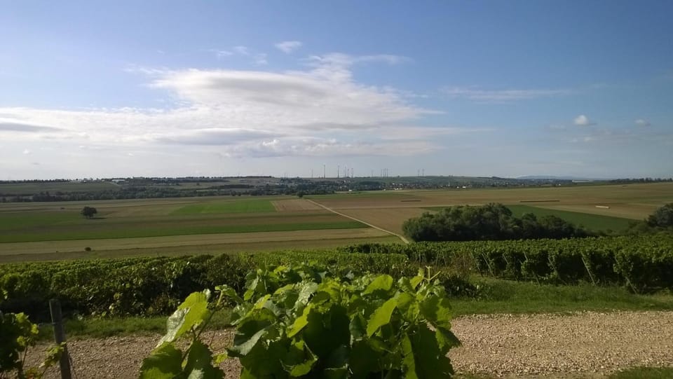 Natural landscape, View (from property/room)