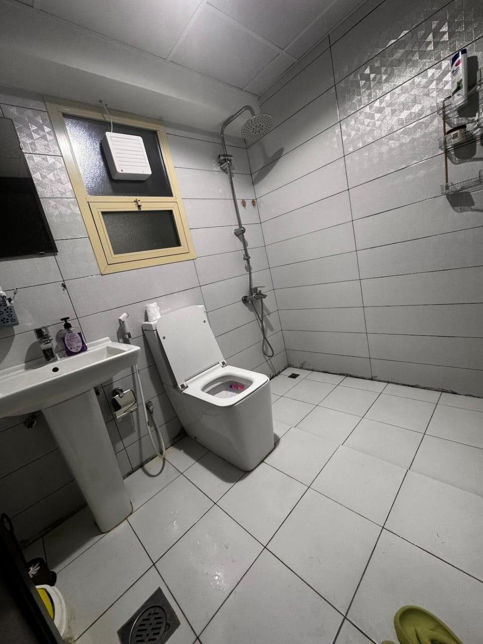 Studio with roof11 Apartment in Ajman
