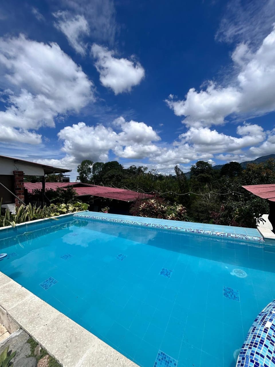 Pool view, Swimming pool