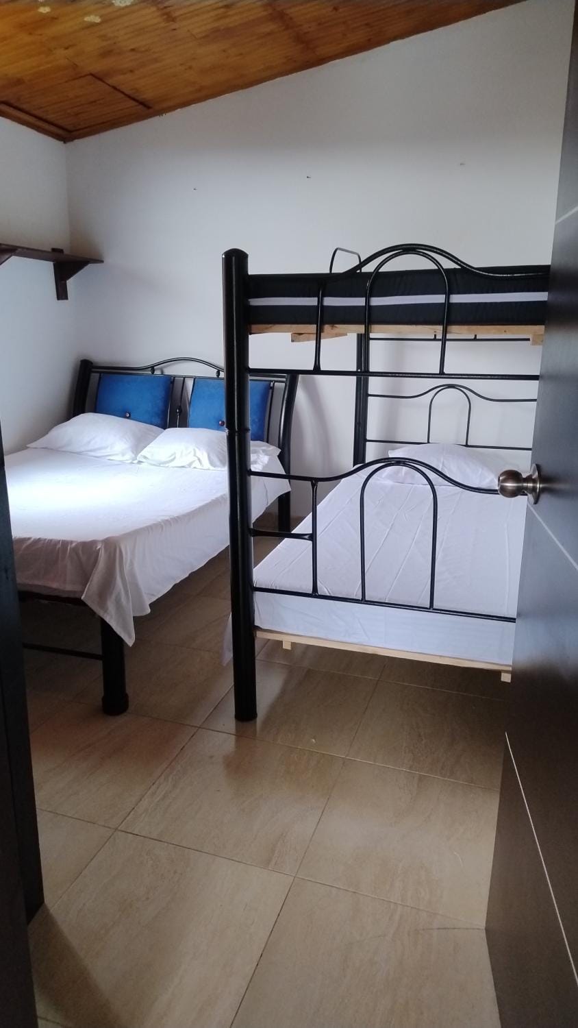 Bed, Photo of the whole room, Bedroom, bunk bed