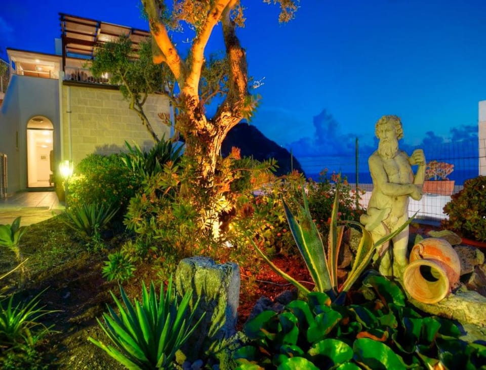 Night, Garden view