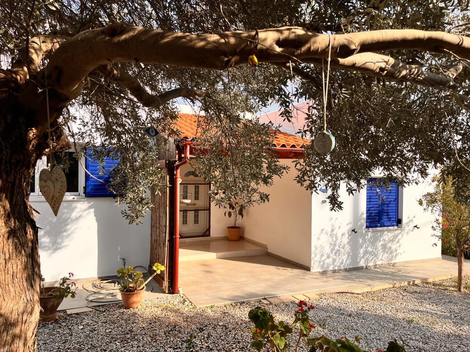 Property building, Facade/entrance, Garden view