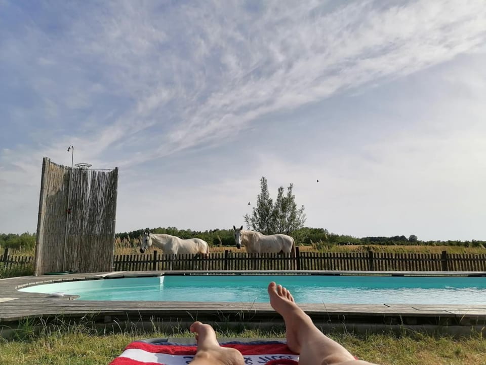 Swimming pool, sunbed
