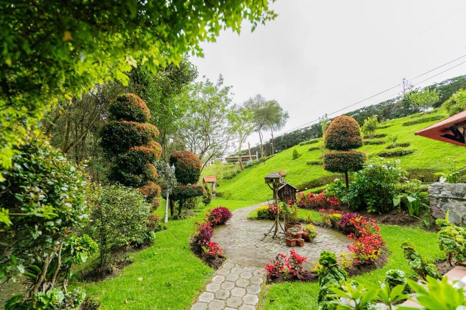 Garden view