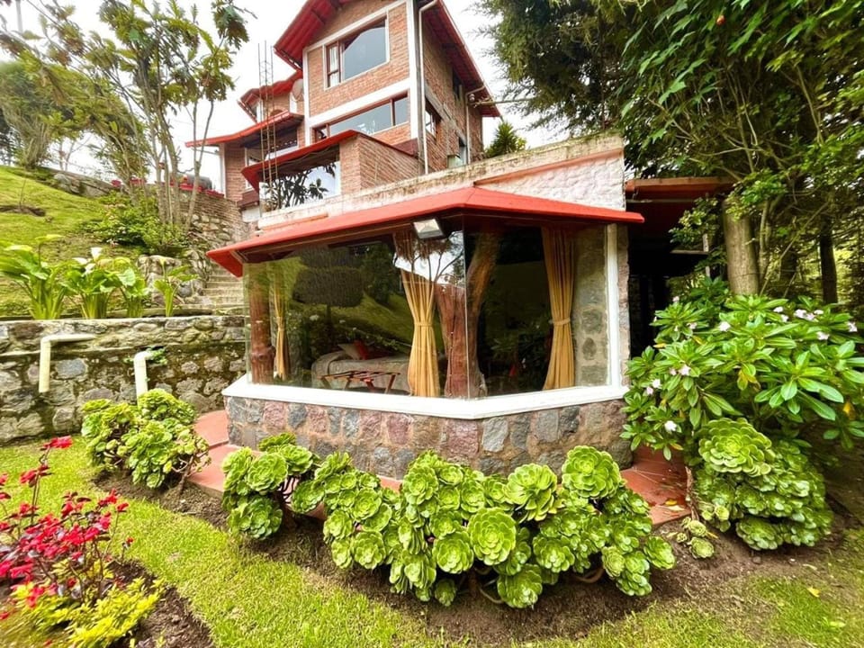 Property building, Patio, Garden, Garden view