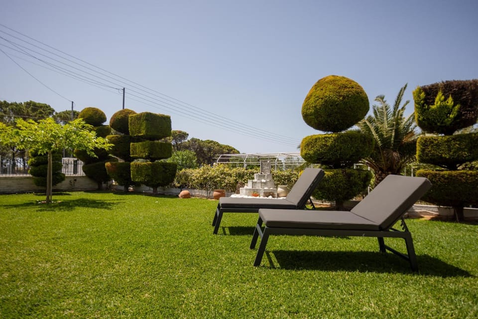 Spring, Day, Natural landscape, Garden, Garden view, sunbed