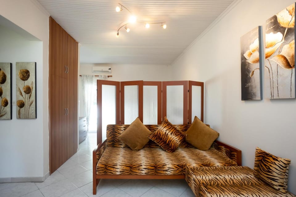 Living room, Photo of the whole room, Seating area, air conditioner