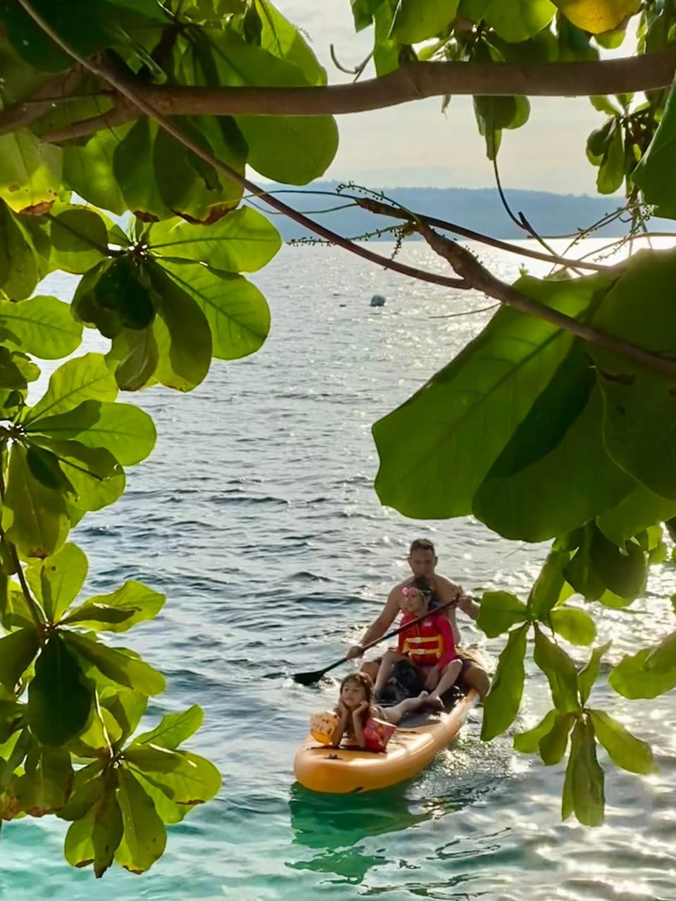 Canoeing, Sports