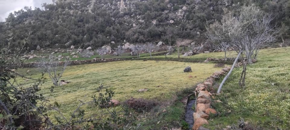 الدار الكبيرة Apartment in Tangier-Tétouan-Al Hoceima