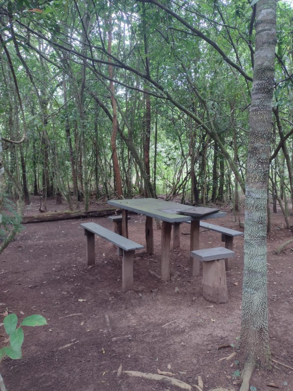 Sítio águas claras Campground/ 
RV Resort in State of Goiás