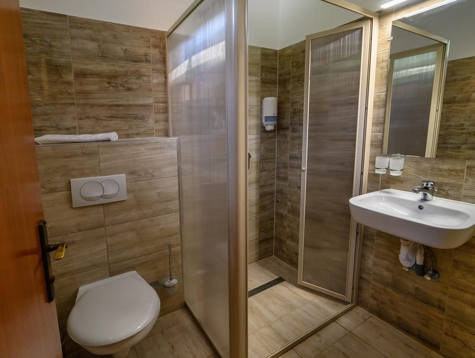 Shower, Toilet, Bathroom, towels