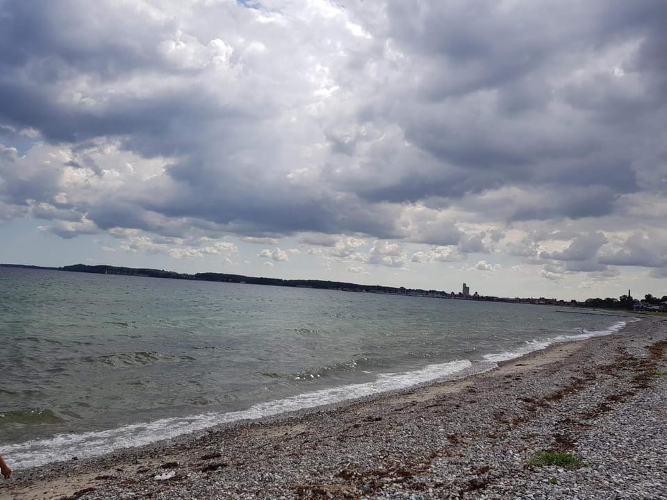 Lake view