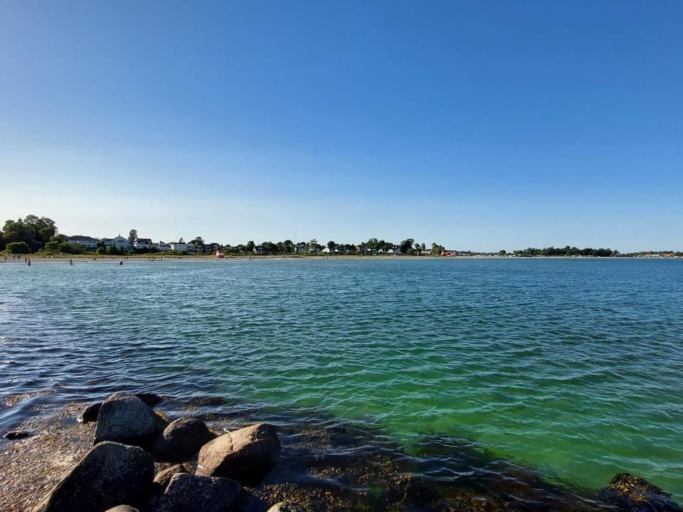 Lake view