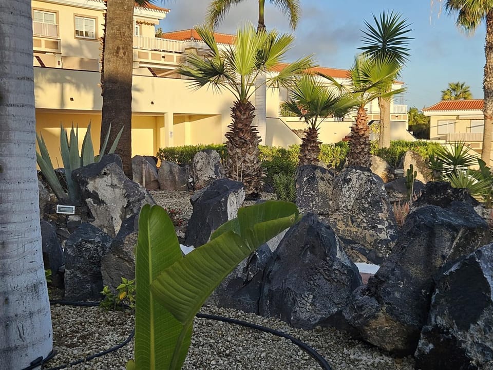 Garden view