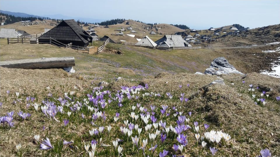 Chalet Pehta Velika Planina Chalet in Slovenia