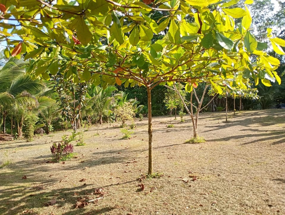 Cabaña lago Río Celeste House in Alajuela Province
