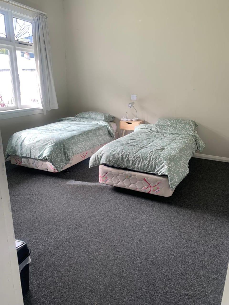 Economical accommodation Vacation rental in Dunedin